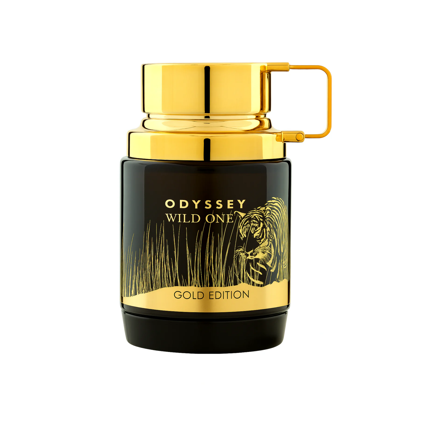 Armaf Odyssey Wild One Eau de Parfum 100ml Masculino