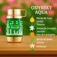 Armaf Odyssey Aqua Eau de Parfum 60ml Masculino
